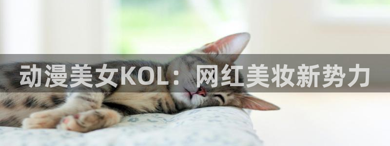 age动漫网站是多少